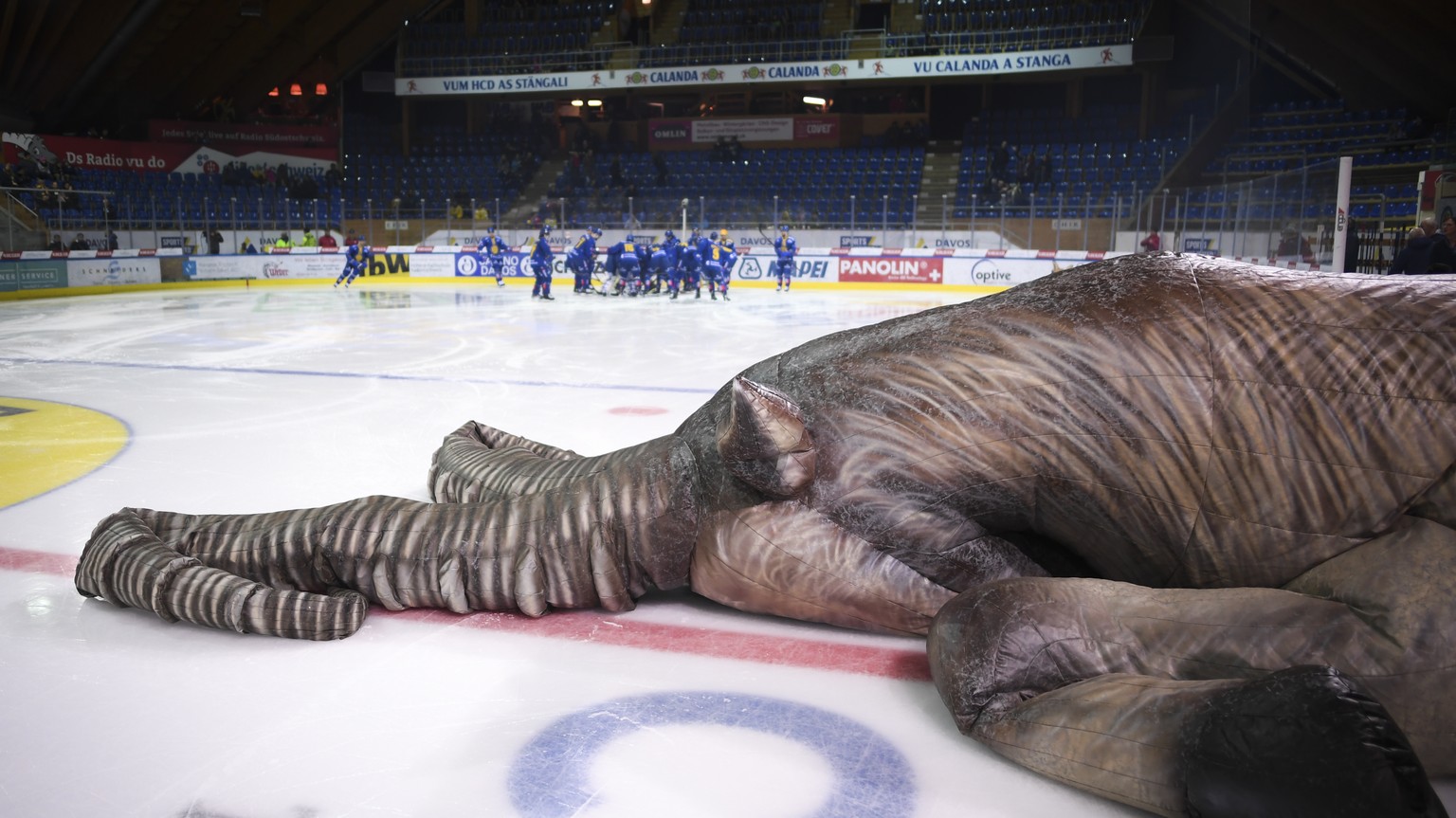 Ein schlaffer Steinbock liegt auf dem Eis, im Hintergrund der HCD bei der Goalie-Beschwoerung, beim Eishockey-Qualifikationsspiel der National League A zwischen dem HC Davos und dem Lausanne HC, am Fr ...