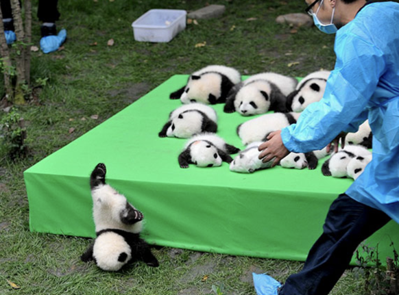 Die Fails dieser Woche sind angerichtet – Bon appétit!\nJöö-Fail der Woche😍