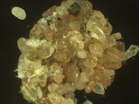 https://www.empa.ch/web/s604/lebender-sand-dank-biopolymeren
Biopolymer Wüstensand Desert Sand Empa Khalifa University