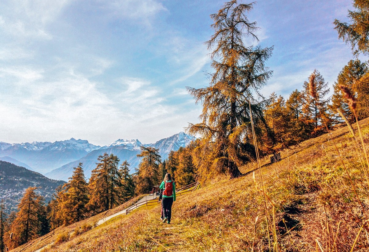 Lärchen von Balavaux, Rauszeit Herbstwanderungen
