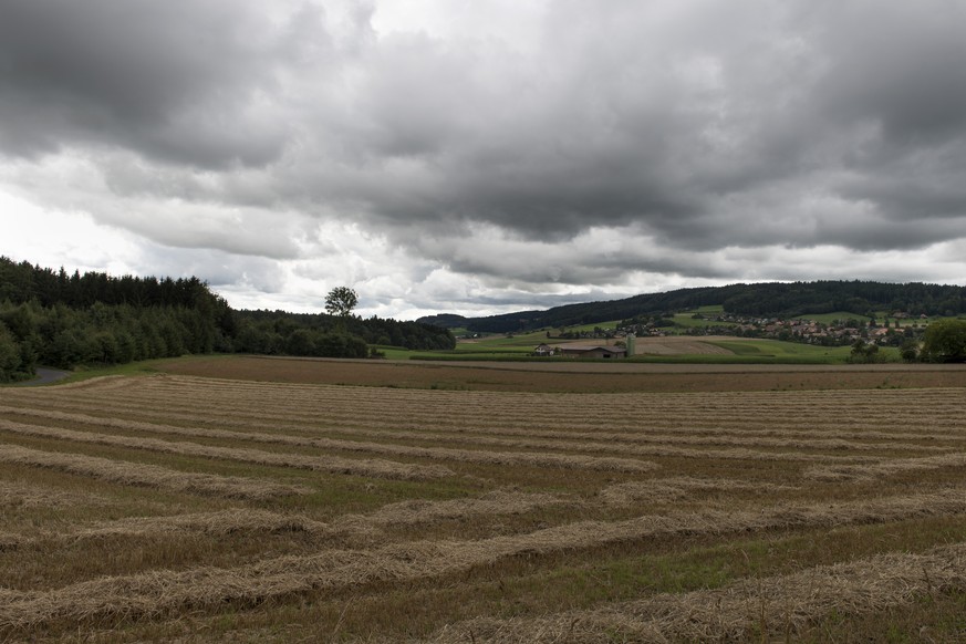 Graue Wolken: Ein oft gesehener Gast in diesem Sommer.