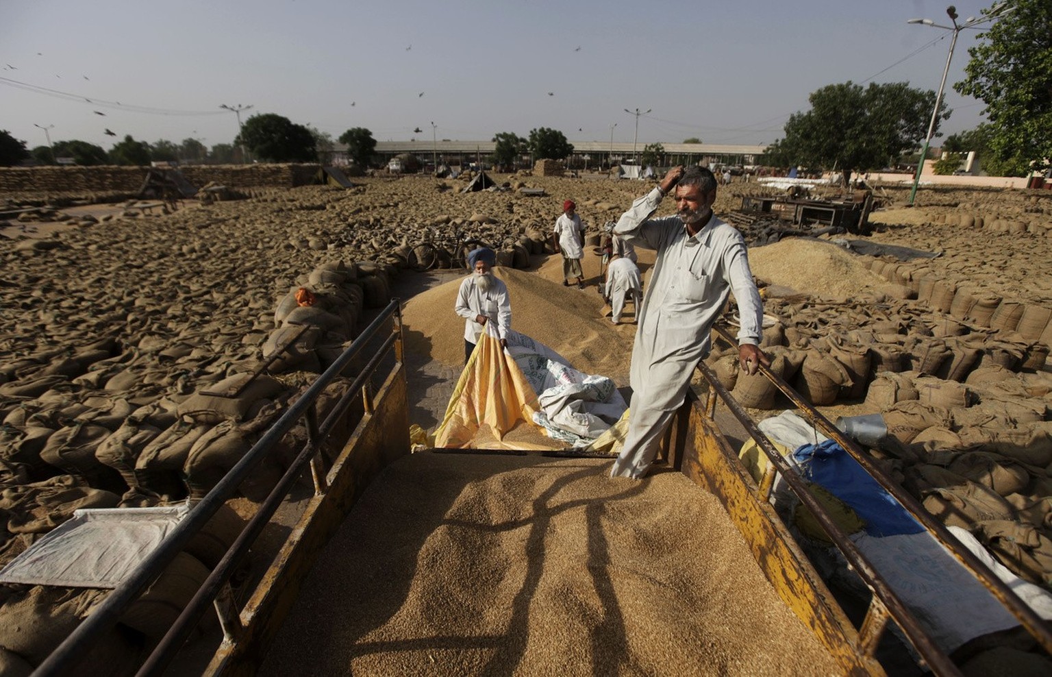 Indische Arbeiter warten auf einem Getreidemarkt in Amritsar, Indien, darauf, Weizen von einem Traktorwagen abzuladen, aufgenommen am Donnerstag, 3. Mai 2012.