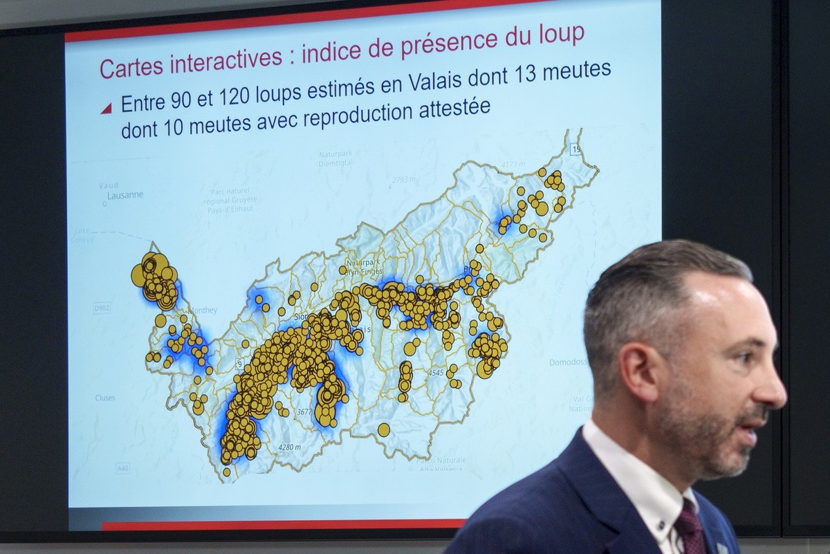 Le conseiller d'Etat valaisan Frederic Favre reponds aux questions des journalistes devant une carte de l'indice de presence du loup apres une conference de presse sur la regulation du loup  ...