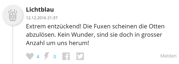 Kommentar zu den Fuxen.