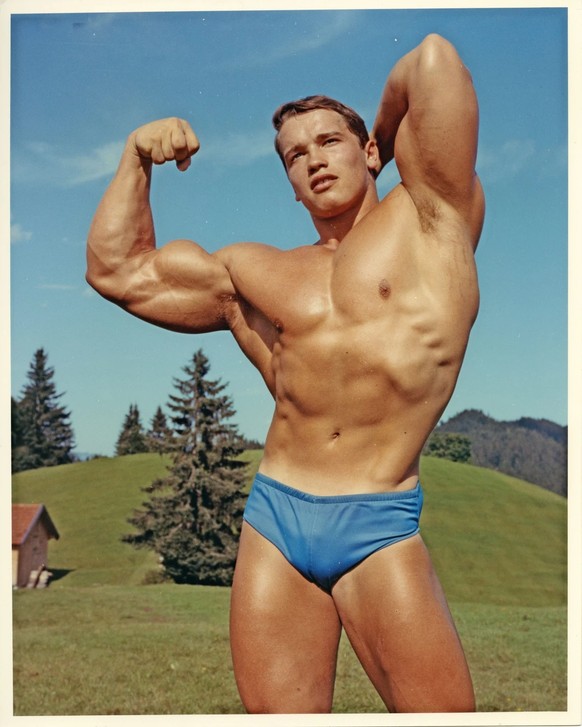 Arnold Schwarzenegger