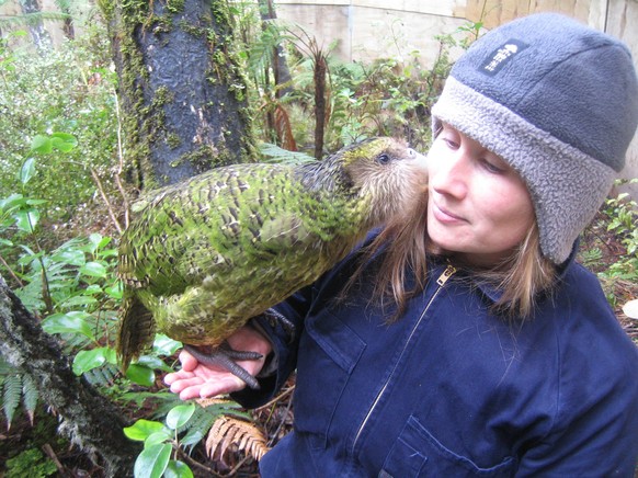 Kakapo