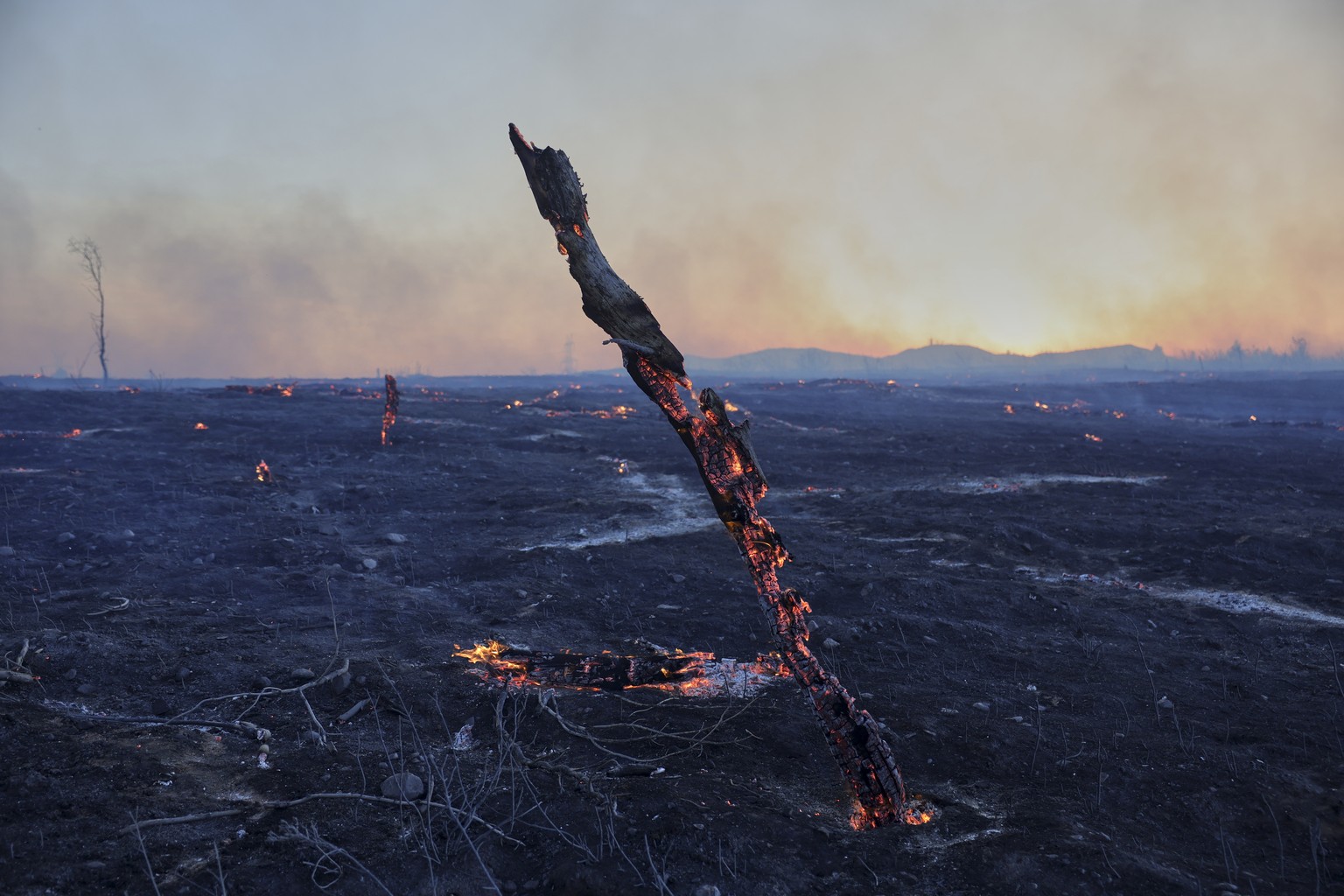 Blazes burn trees during a wildfire, in the northwestern suburb of Kryoneri, in Athens, Greece, Saturday, July 26, 2025. (AP Photo/Yorgos Karahalis)
Greece Wildfire