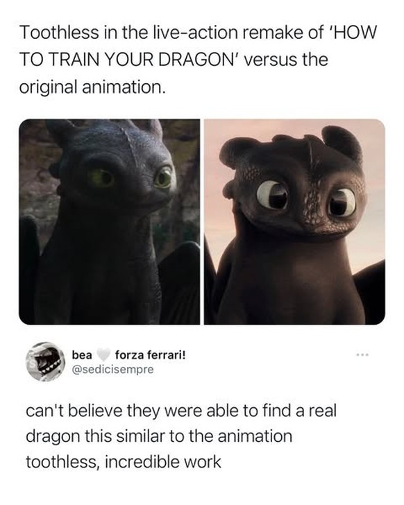 film memes how to train your dragon

https://www.instagram.com/p/DCowRjEI6jk/