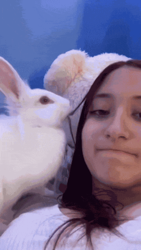 Animiertes GIF