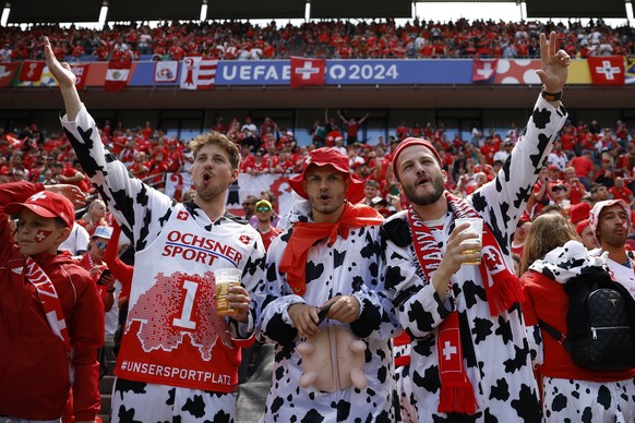 epa11411865 Supporters of Switzerland dresssed as cows before the UEFA EURO 2024 group A match between Hungary and Switzerland in Cologne, Germany, 15 June 2024. EPA/YOAN VALAT