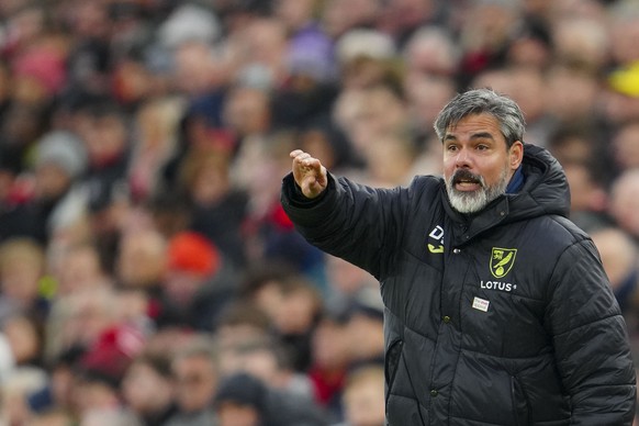 Norwich City&#039;s coach David Wagner gives instructions to his players during the English FA Cup fourth round soccer match between Liverpool and Norwich, at Anfield stadium in Liverpool, England, Su ...