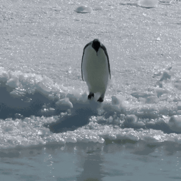 Animiertes GIF