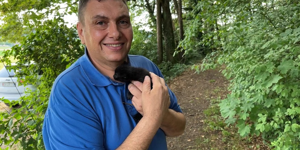 Am Freitagnachmittag hat ein parkiertes Auto in Bassersdorf Feuer gefangen. Die Feuerwehr konnte einen Übergriff auf das nahe Wohnhaus verhindern und auch fünf Katzenbabys retten.