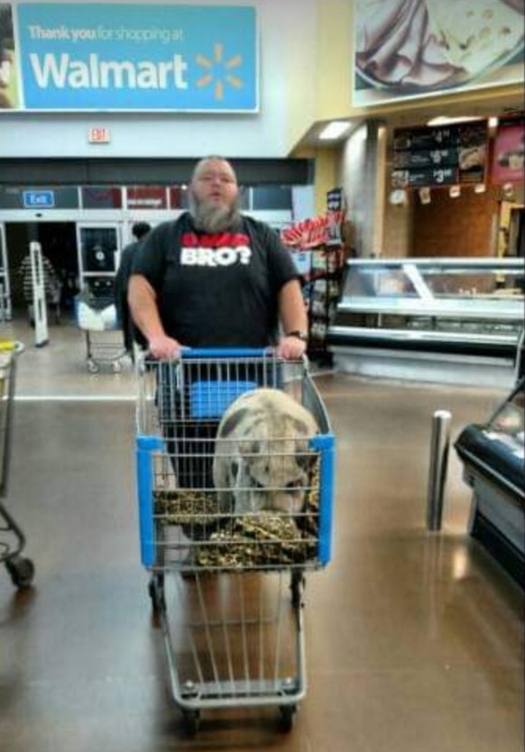 walmart crazy people