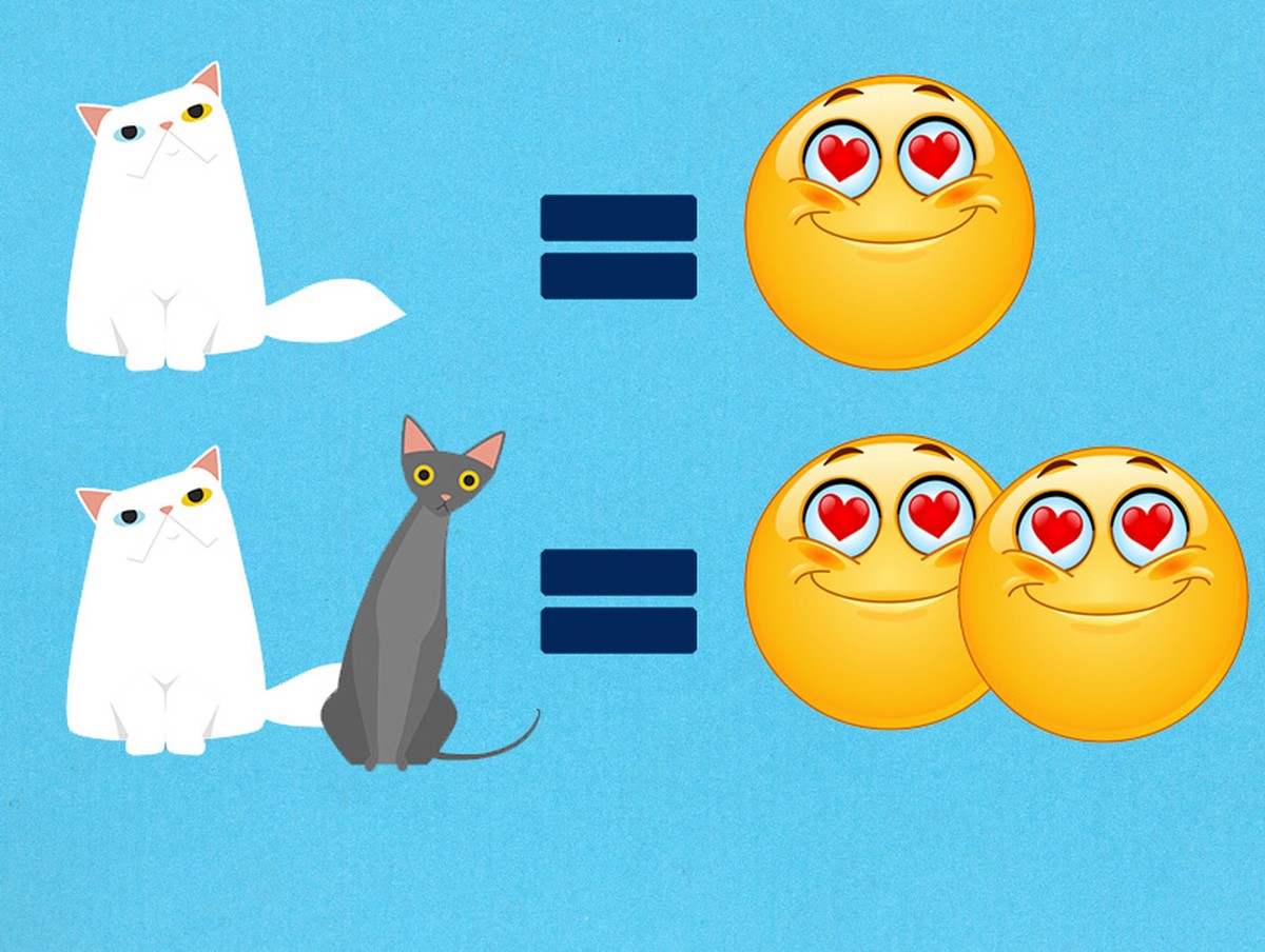 Die Rechnung ist sehr einfach. Eine Katze macht Freude, zwei Katzen machen doppelte Freude.