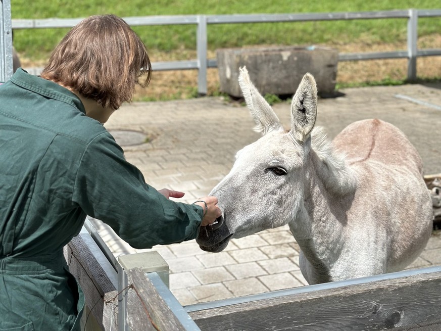 Anna Rosenwasser zu Besuch in der SVP-Hochburg Fischenthal im Kanton Zürich.