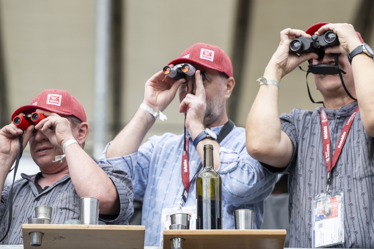 Schwingerfans in der Schwingerarena im 3. Gang beim Eidgenoessischen Schwing- und Aelplerfest 2025 Glarnerland (ESAF), am Samstag, 30. August 2025, in Mollis. (KEYSTONE/Urs Flueeler)