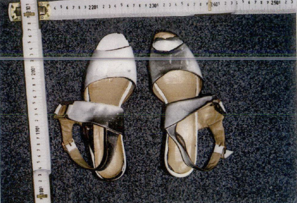 todtnau cold case 1997