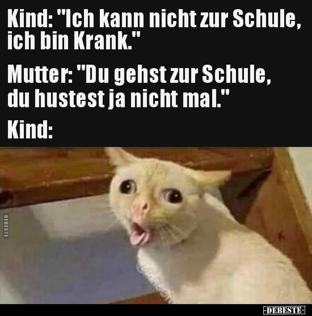 PICDUMP 426 вЂ“ grГјner wird's nicht, hopp! рџђё\nIch fГјhle mich glaub auch nicht gut. Bin aber noch nicht sicher...