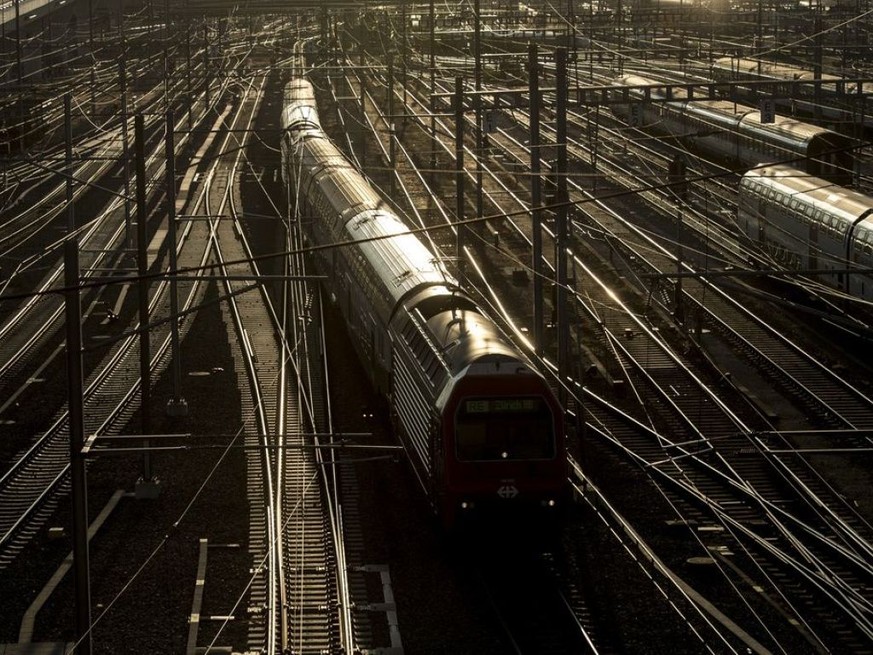 Die Bahn verzeichnete in der Periode 2010-2016 von allen Verkehrsmitteln den höchsten Kostenanstieg. Dennoch ist der auf der Schiene zurückgelegte Personenkilometer der preisgünstigste - abgesehen vom ...