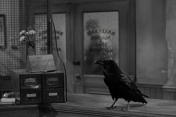 Jimmi the raven in It's a Wonderful Life
