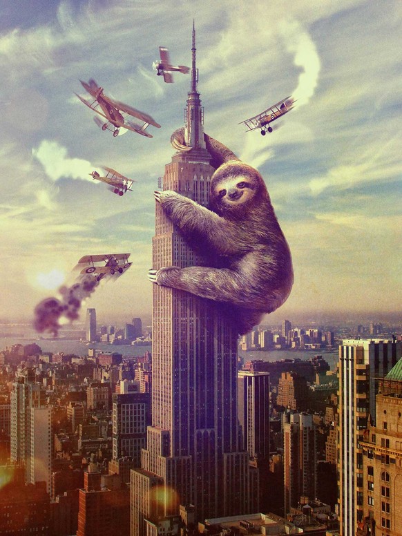 Faultier King Kong-Parodie
Cute News
https://imgur.com/gallery/1cx3a