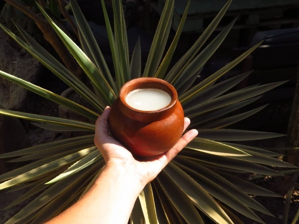 Le pulque est traditionnellement servi dans des récipients en terre cuite.