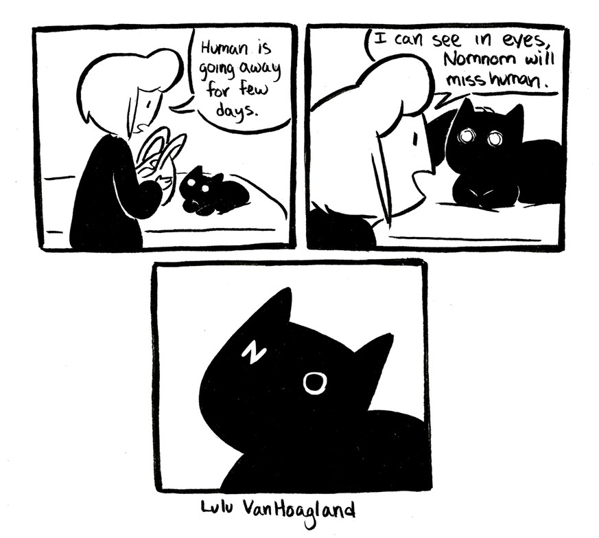 27 Comics, die genau beschreiben, wie das Leben mit einer Katze ist – Katzencomics