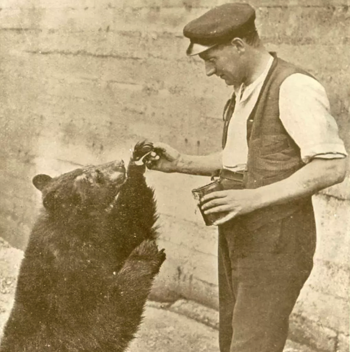Colebourn mit Winnie

https://cms.londonzoo.org/sites/default/files/styles/responsive/public/1024/1024/0/2022-11/1%20winnie%20the%20pooh.jpg.webp
