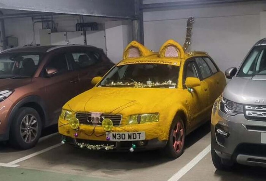 The Meowdi - Audi Auto-Modifikationen der Hölle 
https://www.instagram.com/the_meowdi