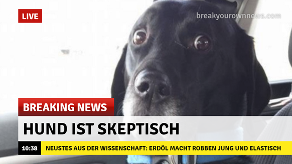 breaking news hund
cute news
https://imgur.com/gallery/vTjP9