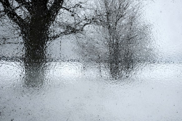 epa11095818 Trees are seen through an ice covered window of a house in Dunte, Latvia, 22 January 2024. The Latvian Environment, Geology and Meteorology Center has issued a yellow alert regarding freez ...