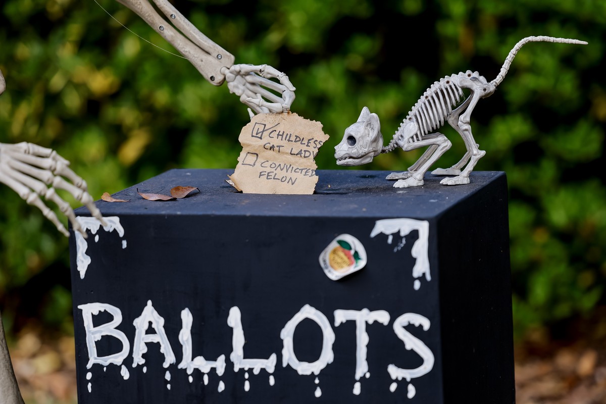 epaselect epa11692913 Mock skeletons 'cast' their ballots in a homeowner's Halloween display in the Kirkwood neighborhood of Atlanta, Georgia, USA, 30 October 2024. Georgia Secretary of ...