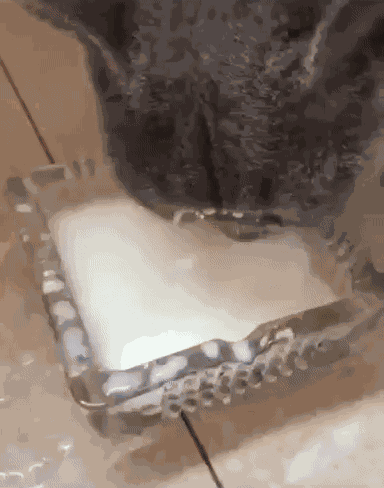 Animiertes GIF