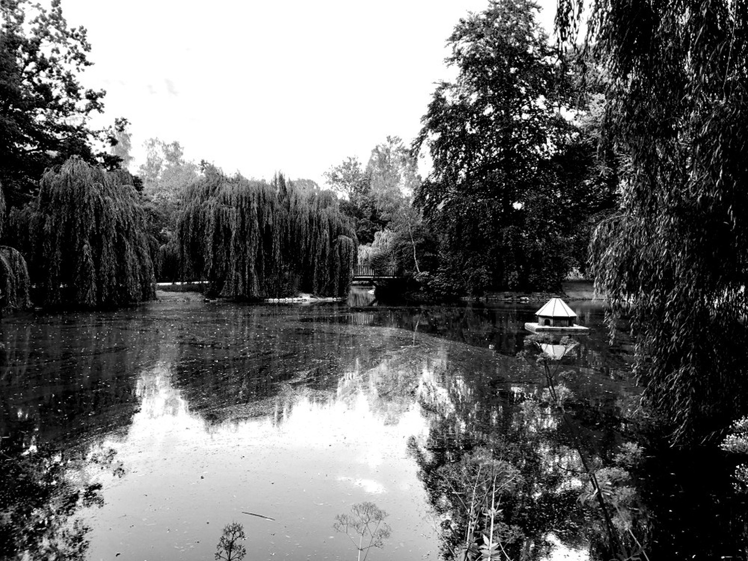 Der Stadtpark Steglitz in Berlin.