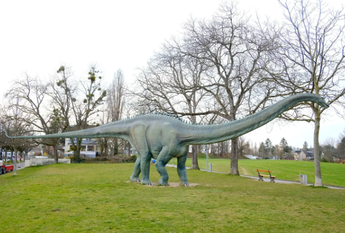 Modell eines Diplodocus auf dem Bruderholz in Basel.