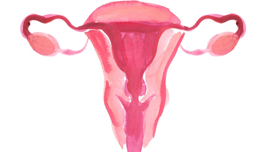 Die Krankheit hat ihren Namen von der medizinischen Bezeichnung für Gebärmutterschleimhaut «Endometrium».&nbsp;