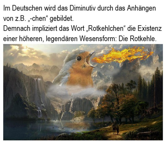 Das ist der Vogel des Jahres 2025\n…