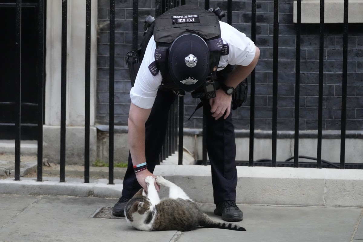 A police officer plays with Larry the Cat, Britain's Chief Mouser to the Cabinet Office at Downing Street in London, Wednesday, July 6, 2022. Treasury chief Sunak and Health Secretary Javid resig ...