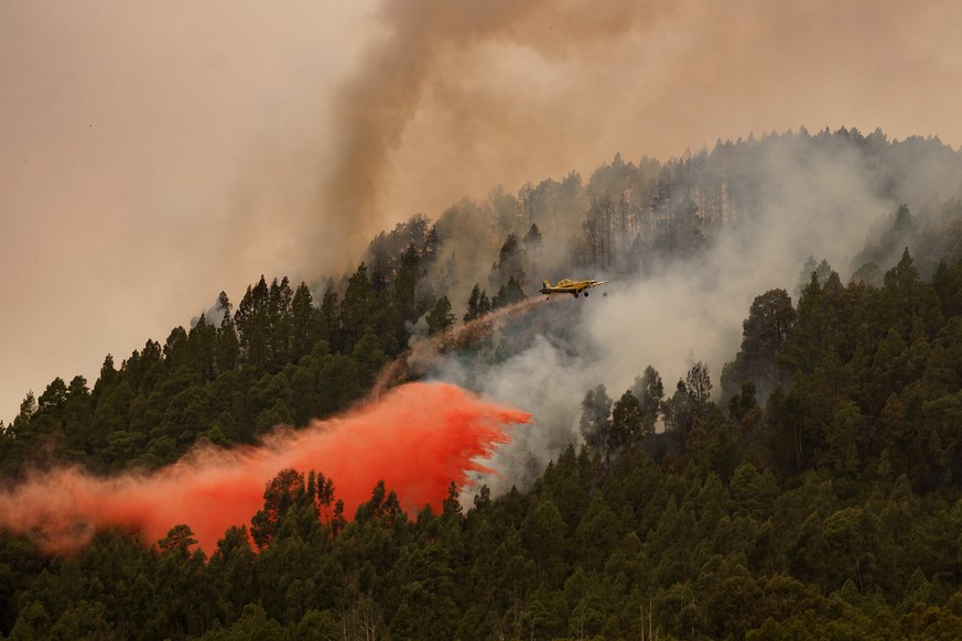 epaselect epa10804409 An aircraft fights the forest fire at El Rosario in Tenerife, Canary Islands, Spain, 17 August 2023, as the wildfire affecting the area continues out of control. The fire, that s ...