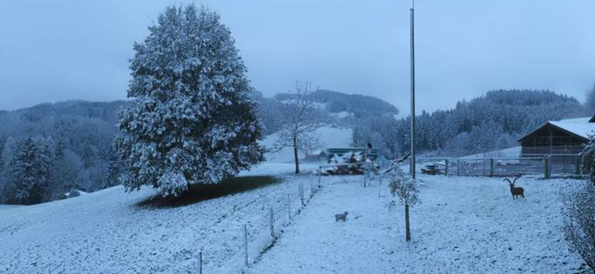 schnee November 24 teufen