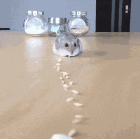 Animiertes GIF