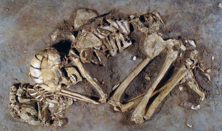 Bestattung einer Frau mit Hunde- oder Wolfswelpe unter der linken Hand. Um 10 350 – 9000 v. Chr. Ain Mallaha (Israel).