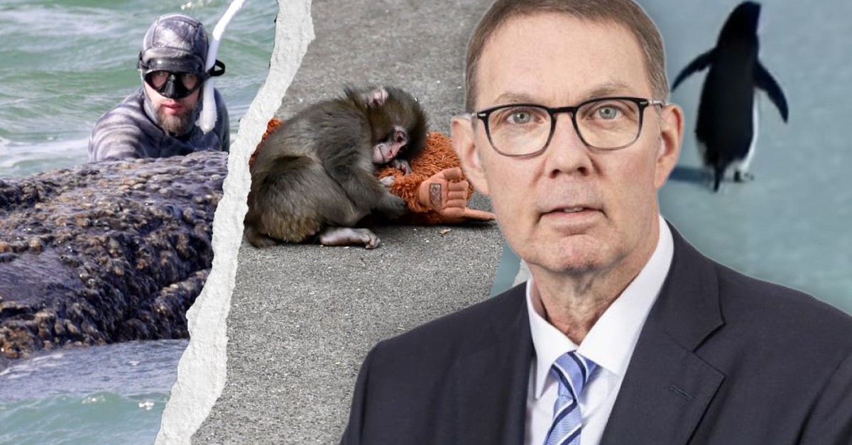 Oberster Schweizer Tierschützer: «Timmy wird sterben und niemand wird mehr an ihn denken»