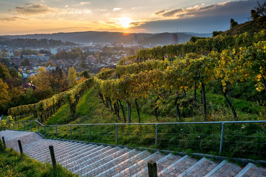 Bäumli Winterthur. bild: Shutterstock