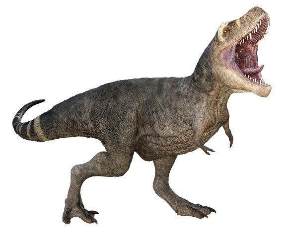 trex