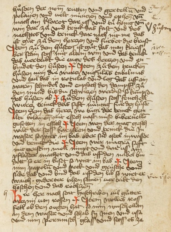 Auszug aus der medizinischen Sammelhandschrift mit der Signatur «Codex S 386», ca. 1463-1466.
https://www.e-codices.ch/en/zbs/S-0386/149r