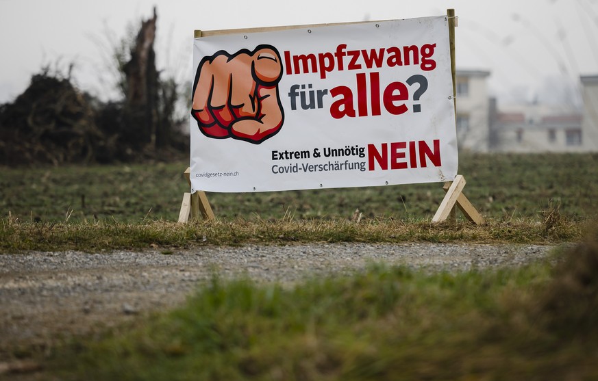 Ein Abstimmungsplakat gegen das Covid-19-Gesetz steht auf einer Wiese, am Freitag, 12. November 2021 in Seebach. (KEYSTONE/Michael Buholzer)