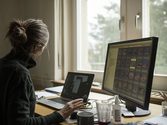 Online-Handelsplatz Ricardo boomt dank Home Office. (Symbolbild)