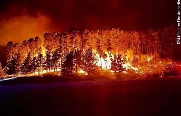 Das Buschfeuer wütet knapp 100 Kilometer nördlich von Melbourne.